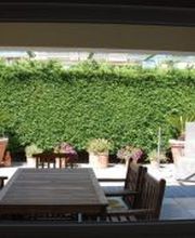 Blindes Fenster - nachher