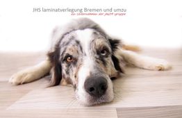 Hund liegt auf Laminatboden, Text oben: "JHS laminatverlegung Bremen und umzu".