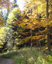 Ferienhaus Erzgebirge / Neuhausen, Seiffen