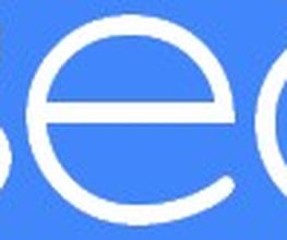 SEO-100 Logo