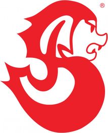 Rotes Drachenlogo mit stilisierten Flammen und einem markanten Gesicht im Profil.