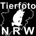 Umriss von NRW mit Tierfotograf und Text "Tierfoto NRW" in weiß auf schwarzem Hintergrund.