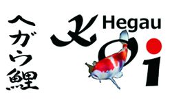 Logo mit japanischen Schriftzeichen, Schriftzug "Hegau Koi" und einem Koi-Fisch in der Mitte.