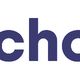 Logo met de tekst "deschouww" in donkerblauw.