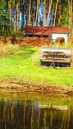 Kleines Haus im Wald mit Picknickbank am Flussufer, umgeben von Bäumen und grünem Rasen.
