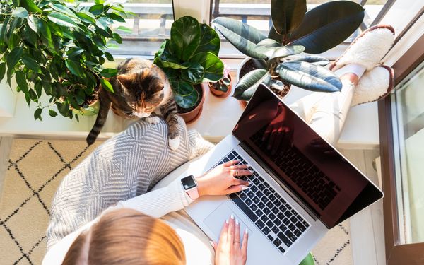 Heimarbeit - Risiken nicht ausgeschlossen