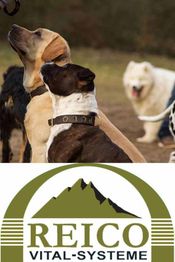 Hunde im Park schauen nach oben, darunter das Reico Vital-Systeme-Logo mit Bergmotiv.