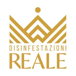 Logo oro "Disinfestazioni Reale" con simbolo a corona stilizzata.