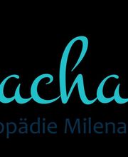 Logopädie Sprachanker Logo