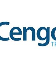 Cengolio translations Logo