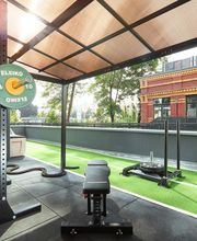 Vibrant Coaching Logo