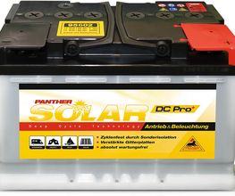 Antriebs- und Beleuchtungsbatterie 12V/60 Ah (C5)