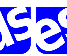 Daniel Schirm E-Services Logo