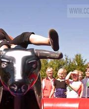 Bullriding_Cowboyhat