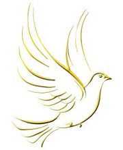 Paloma Tierbestattungen Logo