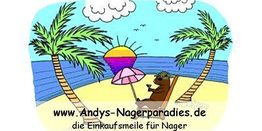 Nager auf Sonnenliege am Strand unter Palmen mit Sonnenschirm, Text: "Andys-Nagerparadies.de".