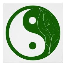 Símbolo yin yang verde con una hoja a la derecha, representando equilibrio y naturaleza.