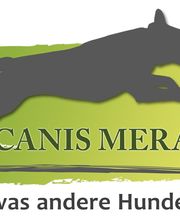 CANIS MERACUS Hundeerziehungsberatung und Mantrailing Coaching Logo
