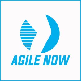 Blaues Logo von "Agile Now" mit zwei abstrakten Formen auf weißem Hintergrund.