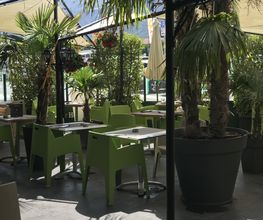 Grüne Stühle und Tische unter Sonnenschirmen in einem von Palmen umgebenen Café im Freien.