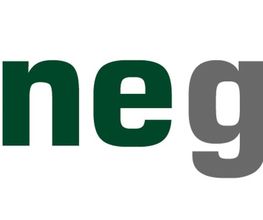 Natursteine stonegate  Logo