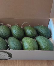 Caja abierta con ocho aguacates verdes sobre paja, en un suelo de madera.