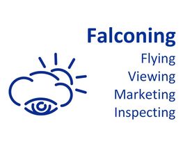 Falconing Andreas Schröter Logo