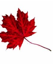 Gartenservice Riebe Logo