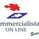 Logo "Commercialista Online Services" con pezzi di puzzle rosso e blu.