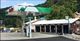 Gas station with dinosaur logo, fuel pumps, and service garage in a wooded area.