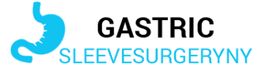 Blue stomach icon with text: "Gastric SleeveSurgeryNY."