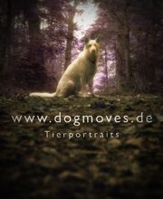 dogmoves Logo