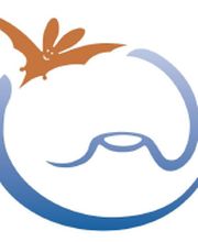 Tropfsteinhöhle Schulerloch Logo