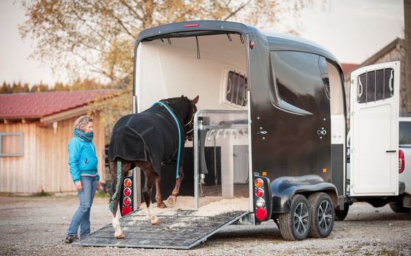 Eine Frau lässt ihr Pferd in einen Pferdetransporter laufen.