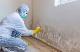 Person in protective gear cleaning mold from a wall with a spray bottle in a room.