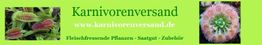 Banner mit fleischfressenden Pflanzen und Text: Karnivorenversand, www.karnivorenversand.de.