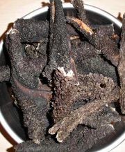 RINDERPANSEN  deutsche TOP-Qualität