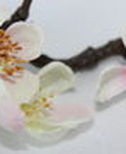 Apfelblüte Style & Accessoires Logo