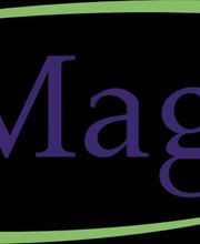 ALSA-Magdeburg UG Logo