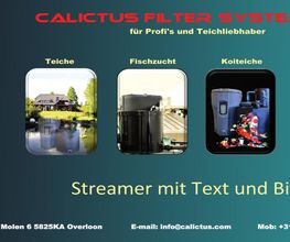 Calictusglasperlen