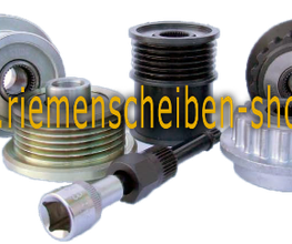 Riemenscheiben-Shop.de Logo