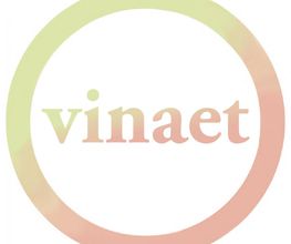 Vinaet Logo