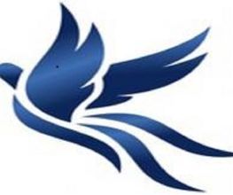 Phoenix Finanz Logo