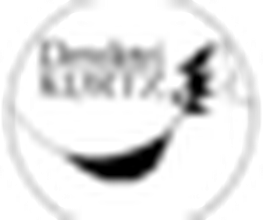 Kurtz Detektei Bielefeld Logo