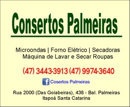 Cartão de visita "Consertos Palmeiras" com serviços e contatos em Itapoá, Santa Catarina.