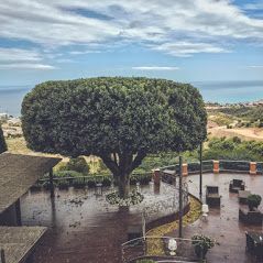 Terraza con árbol grande en el centro, vista al mar al fondo y cielo parcialmente nublado.
