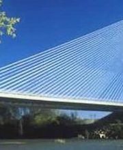 Puente atirantado sobre un río con cielo azul y árbol a la izquierda.