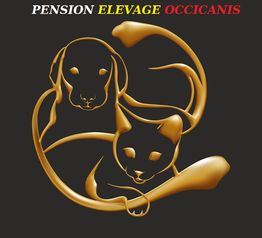 Silhouettes dorées de chien et chat sous le texte coloré: Pension Elevage Occianis.