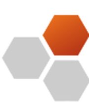 netspirits GmbH & Co. KG  Logo