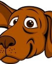 Logo Hundesalon Tierische Schnitte in Willich